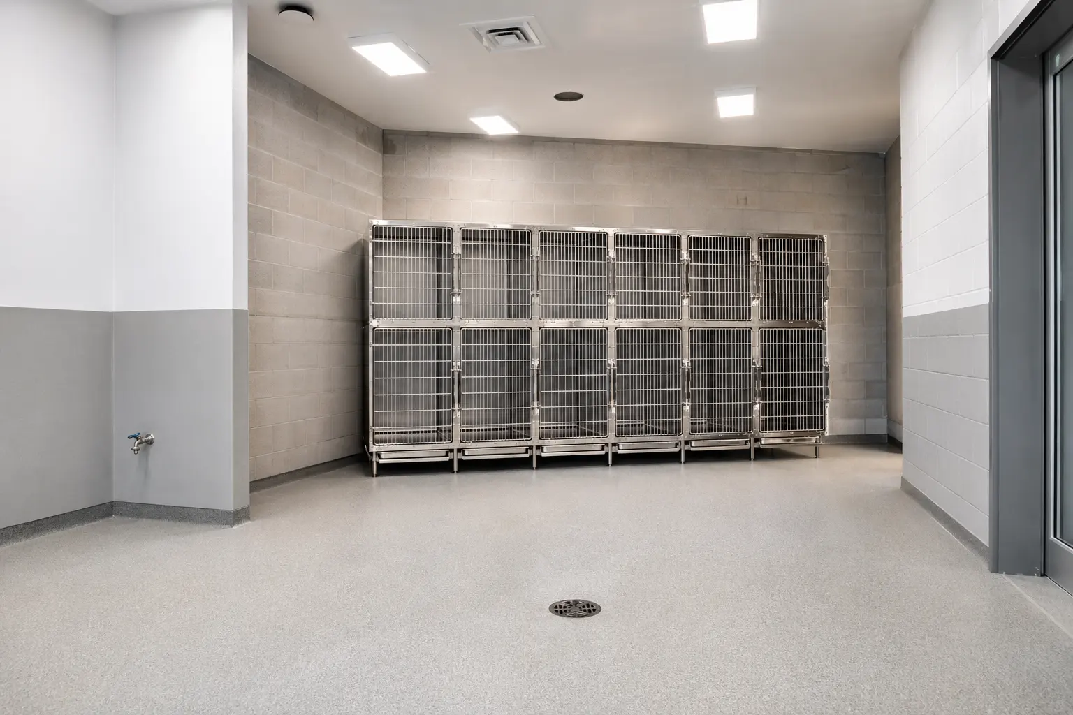 Where veterinary clinic renovation is needed in Maple by Ardenvale Construction